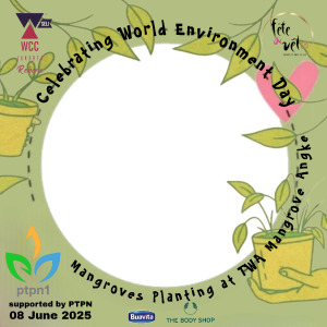 Frame of Mangroves Planting