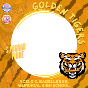 Frame of ACELO Frame 2025