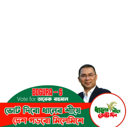 Frame of ধানের শীষে ভোট দিন